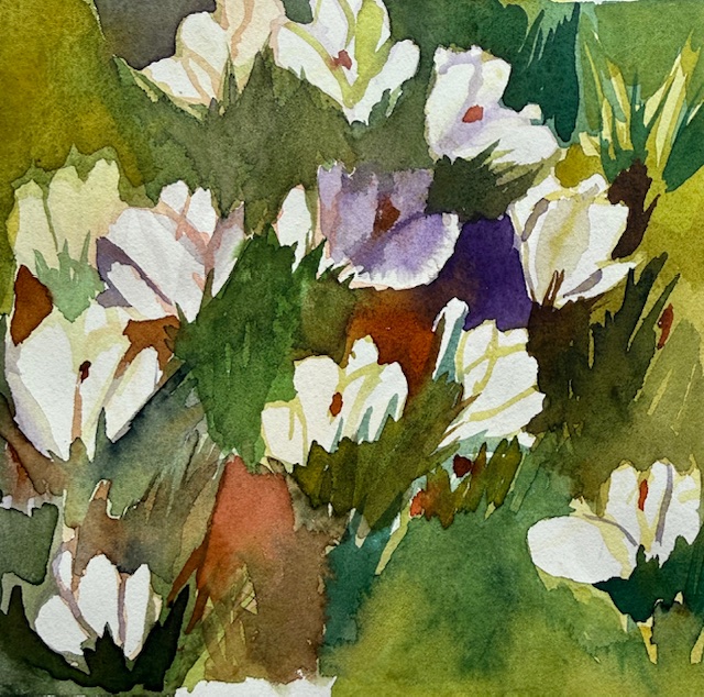 Krokus